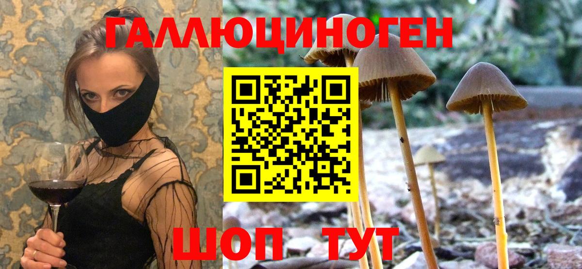 Галлюциногенные грибы прущие грибы  Псилоцибиновые грибы мицелий  Волжский  Вход с VPN 