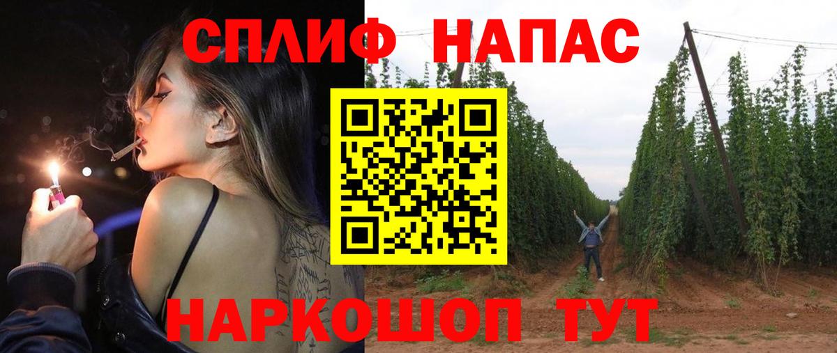 Шишки марихуана сатива Волжский